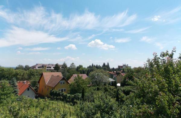 Bencze Vendeghaz Zalakaros Apartment ภายนอก รูปภาพ